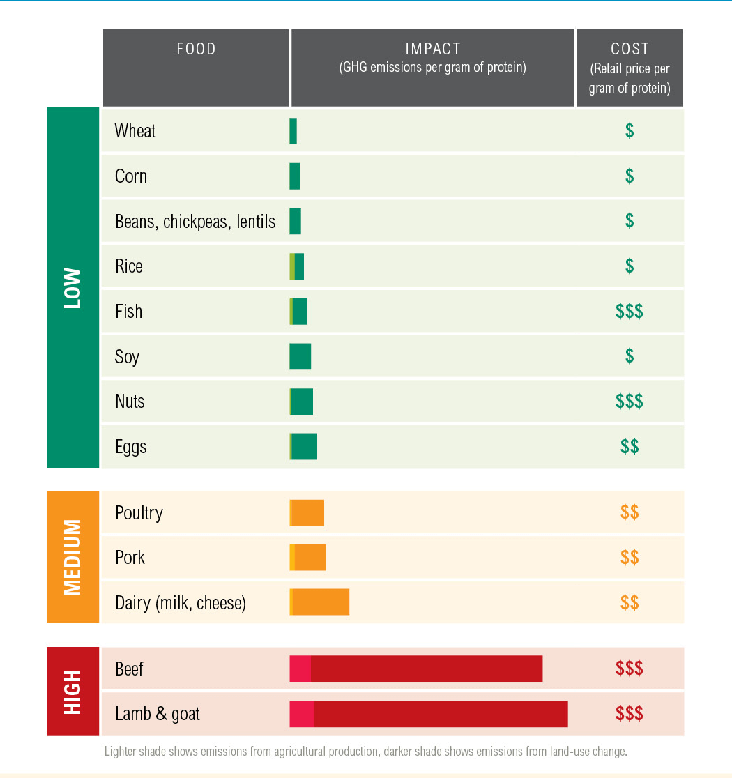 The Environmental Impact of Protein A graph to show The Environmental Impact of Protein